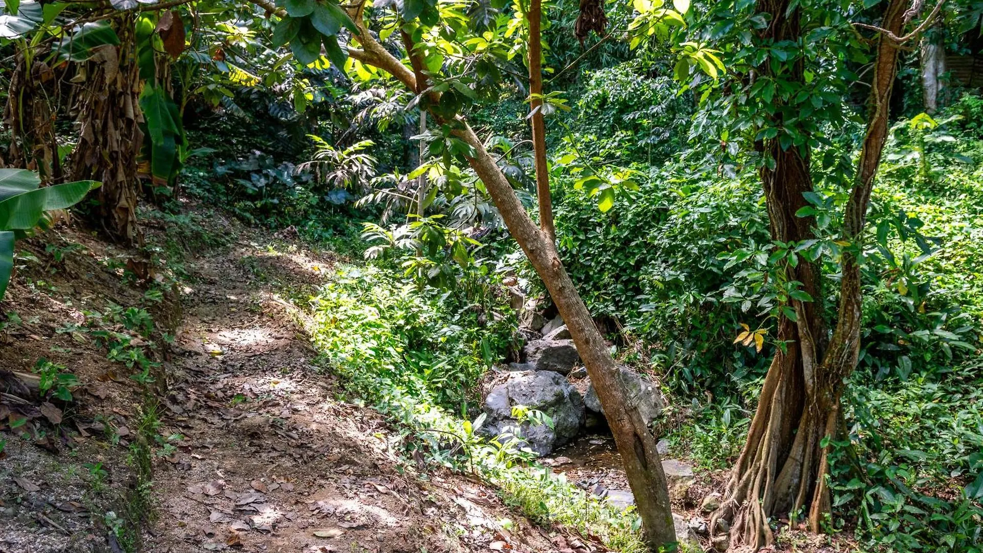 מאונאבו Hacienda Posada De Amor פוארטו ריקו