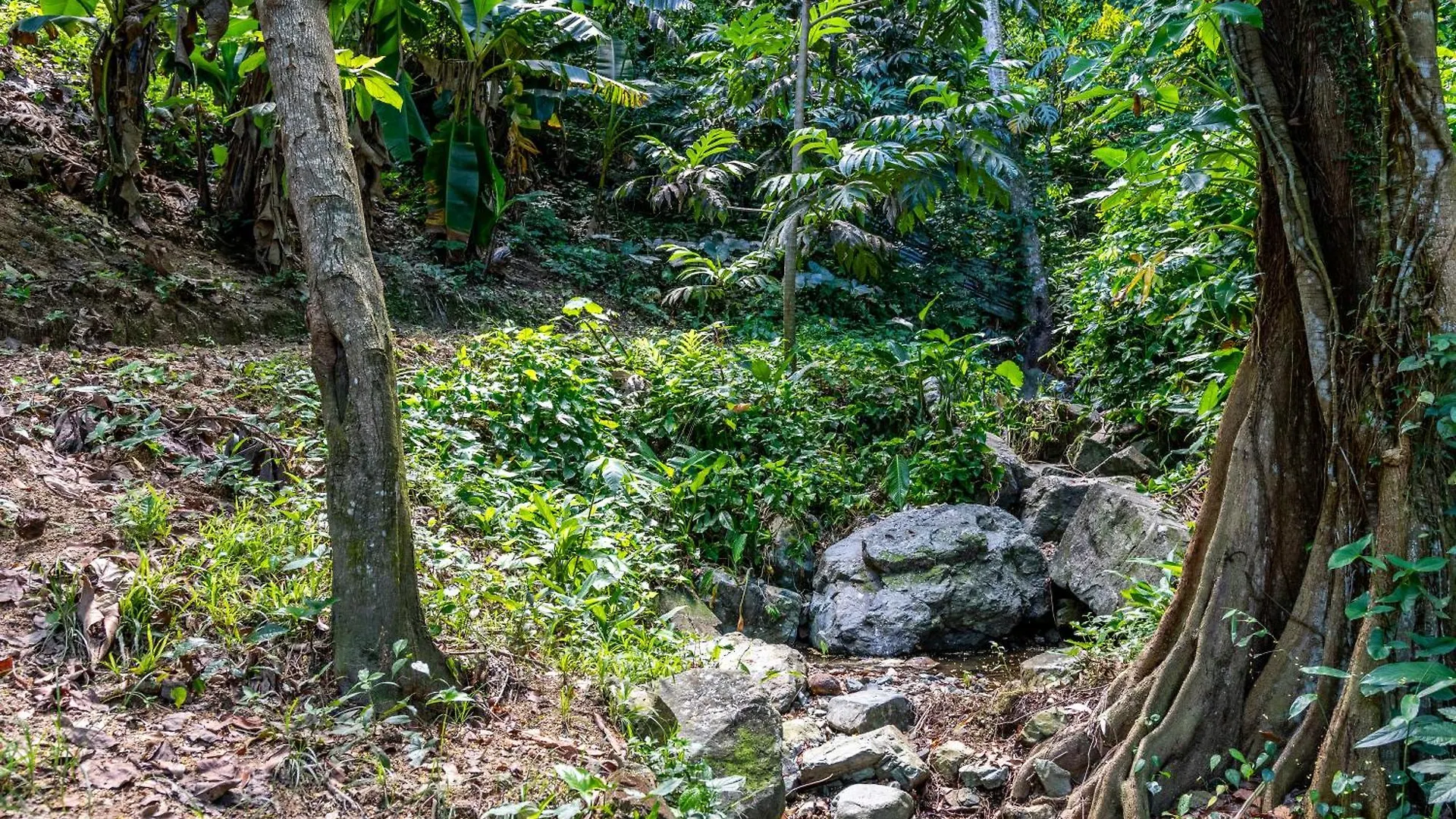 Lägenhet Hacienda Posada De Amor Maunabo Puerto Rico