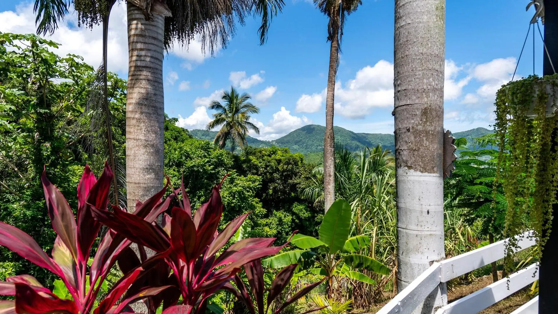 Lägenhet Hacienda Posada De Amor Maunabo